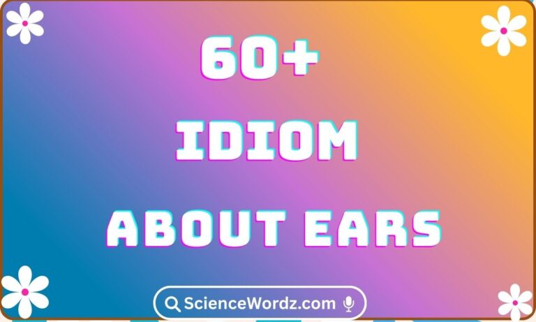 Idioms About Ears