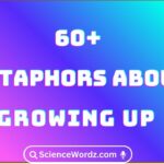 Metaphors About Growing Up