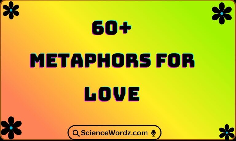 Metaphors for Love