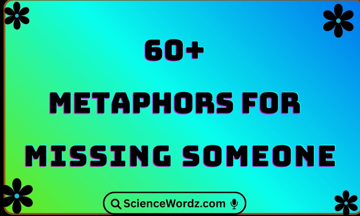Metaphors for Missing Someone