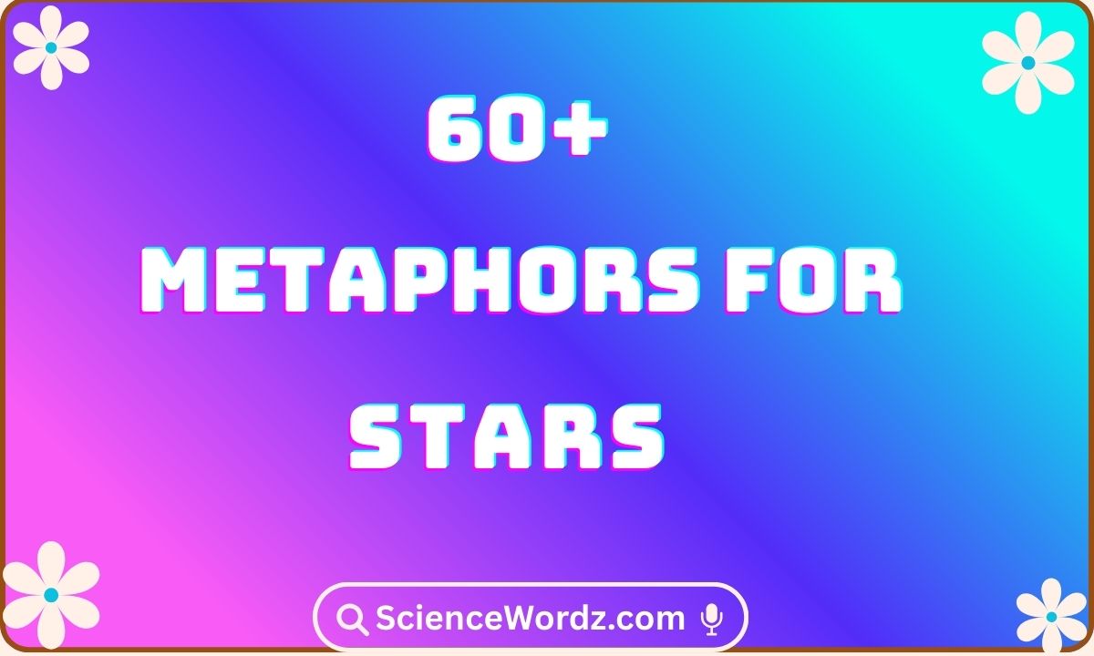 Metaphors for Stars