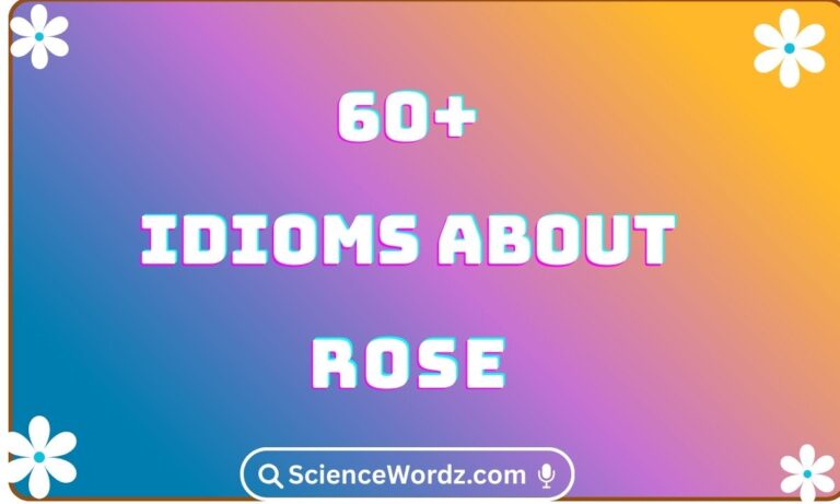 Rose Idioms