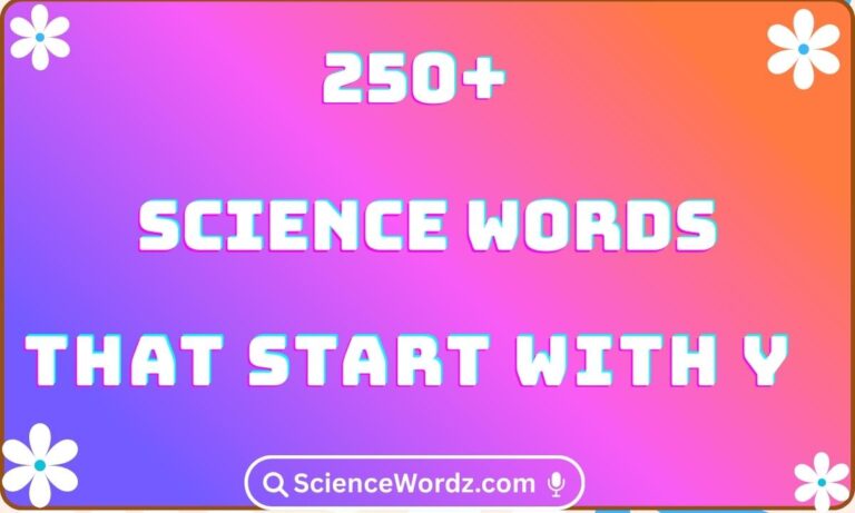 Science Words That Start With Y