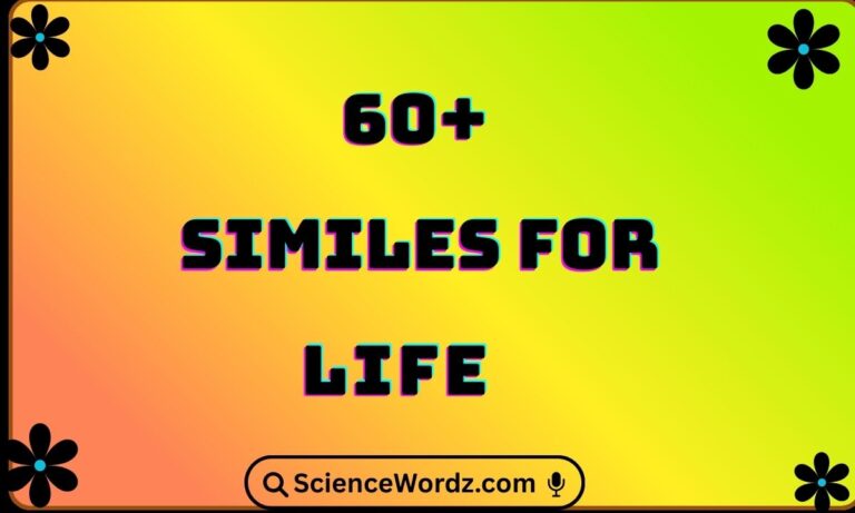 Similes for Life