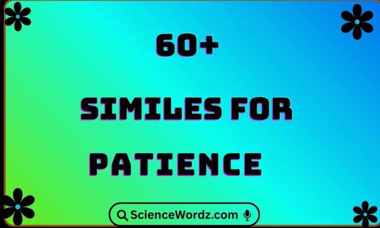 Similes for Patience